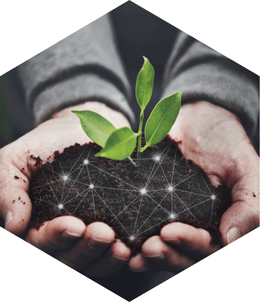 Agriculture Industry